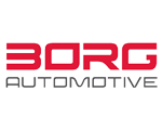 logo firmy borg