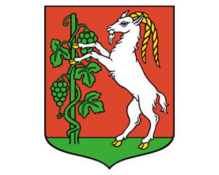 logo firmy lublin-herb