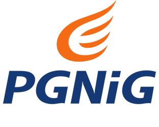 logo firmy pgnig
