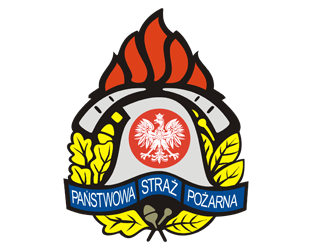 logo firmy psp