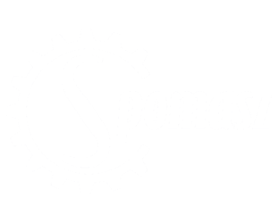 logo firmy spomasz